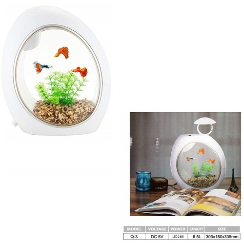 Mini acquario completo - acquario,