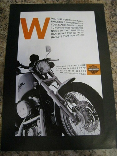 Harley davidson motorcycles - harley,