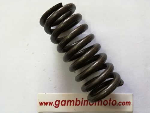 Molla frizione motozappa pasbo - motozappa,
