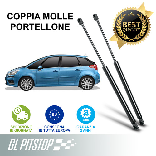 Pistoni portellone coppia - pistoni, portellone,