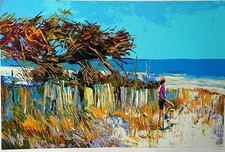 NICOLA SIMBARI NETTUNO