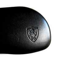 sheath sunglasses case RAY BAN