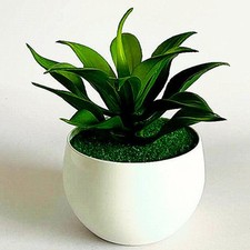 Courtyards Artificiale Piante