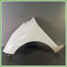 Parafango Carrozzeria
