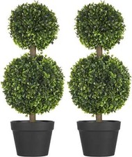 Set da 2 Piante di Bosso a 2