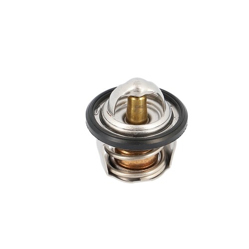Thermostat maxi scooter oem