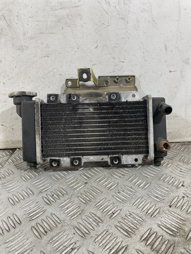 104416 radiatore sym hd2 - 104416,