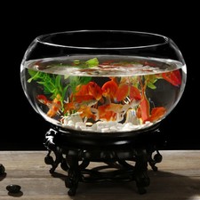  Accessori Per Acquario