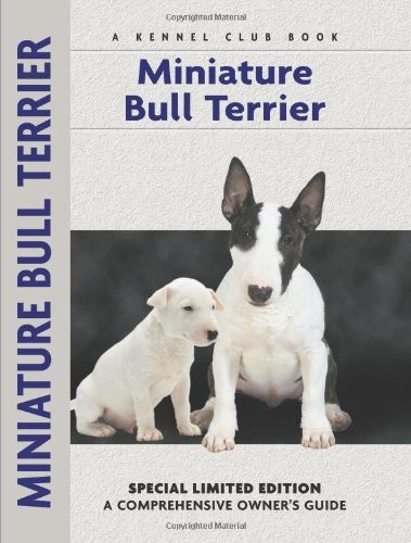 Miniature bull terrier - miniature,