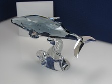 Swarovski SCS Edizione Annuale
