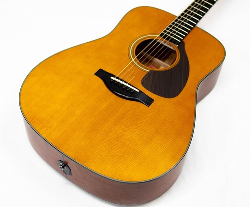 Chitarra elettrica acustica