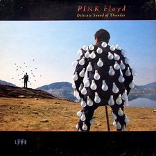 Pink Floyd - Delicate Sound Of
