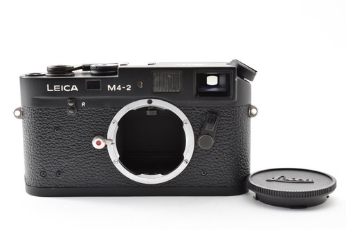 Top mint corpo fotocamera - [top,