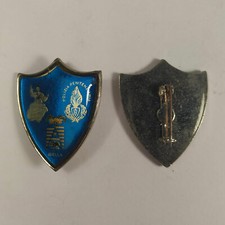 Spilla pins distintivo