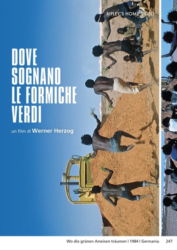 Dove sognano formiche - dove, verdi