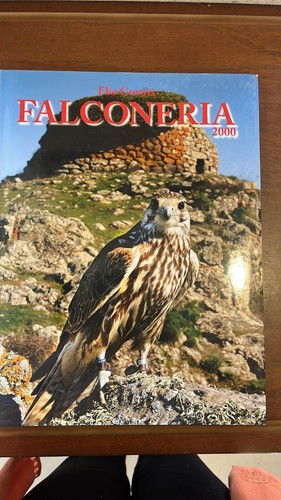 Falconeria 2000 - falconeria,