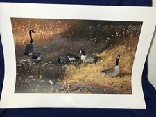 ERBA DELLA SERA CANADA OCHE