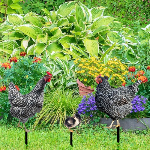 Pezzi statue di - statue, pollo