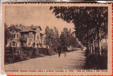 CARTOLINA   ROCCA DI MEZZO FP