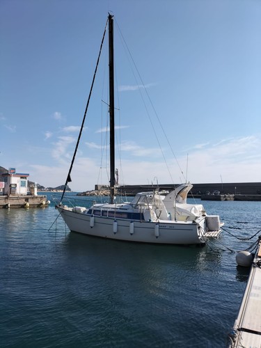 Motorsailer meteor yanmar - motorsailer, m8