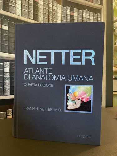 Atlante anatomia umana - anatomia,