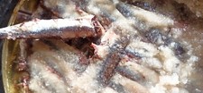 Acciughe salate sciacca - acciughe,