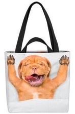 Mastiff Welpe Hund Rasse