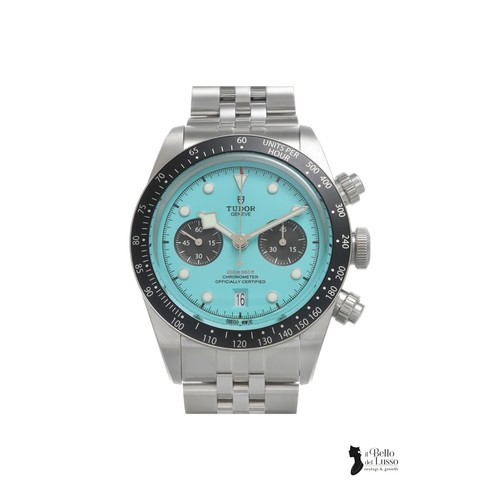 Tudor black bay - bay, flamingo