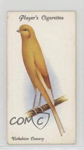 1933 giocatore aviaria - 1933,