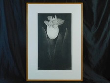 Risho Shigeo "Revived Memory"