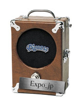 Amplificatore portatile