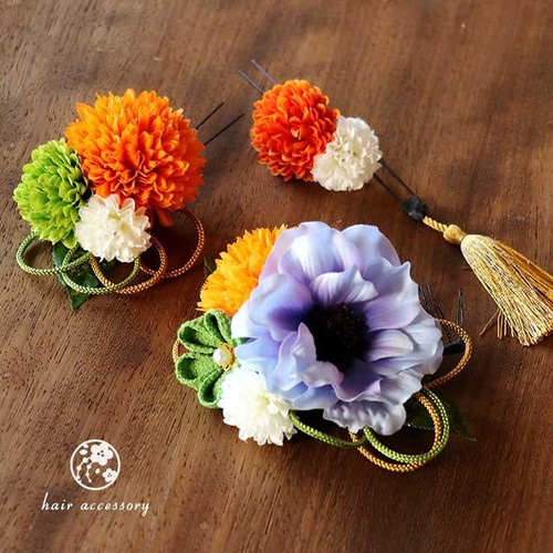 Ornamento capelli set - di, 4