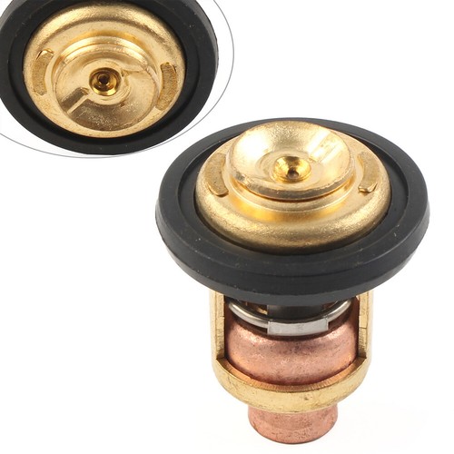 Termostato fit johnson - termostato,