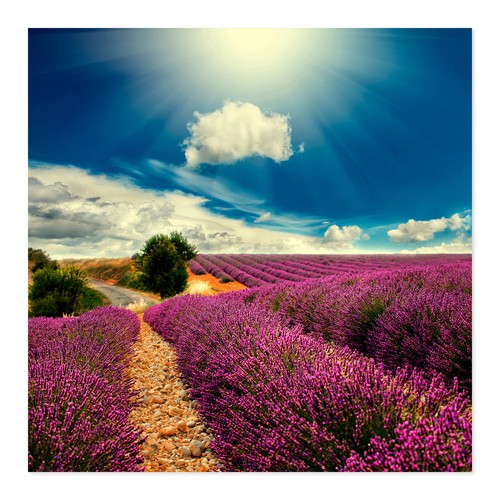 Postereck 2323 poster - postereck,