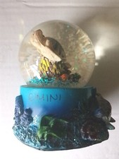 Palla di Vetro Neve Souvenir  Rimini