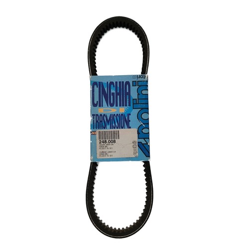 Cinghia trasmissione polini - cinghia,