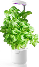 Dafne smart garden mini serra - smart,