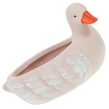  Vaso Pianta Grassa Vasetto