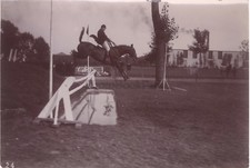 Salto Ostacoli A Cavallo