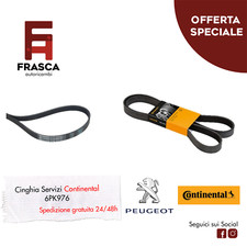 Cinghia servizi poly - cinghia,
