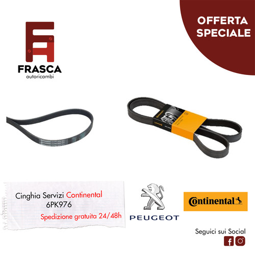 Cinghia servizi poly - cinghia,