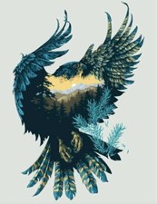 POIANA FALCO AQUILA NATURA
