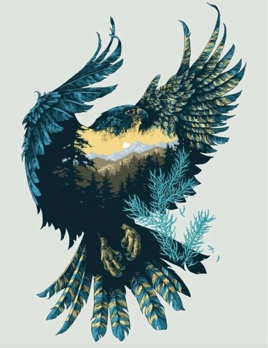 Poiana falco aquila natura - poiana,