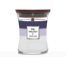 Candela Ecologica Woodwick