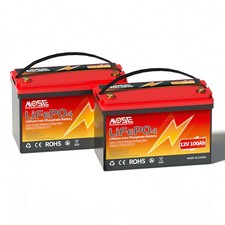 2x 12V 100Ah LiFePO4 batteria