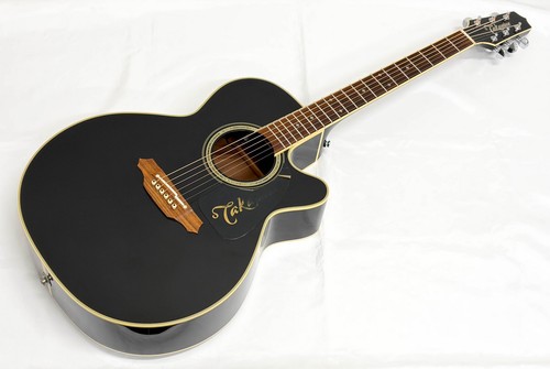 Chitarra elettrica acustica