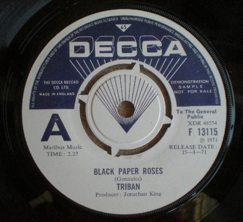 Triban black paper roses - triban, /