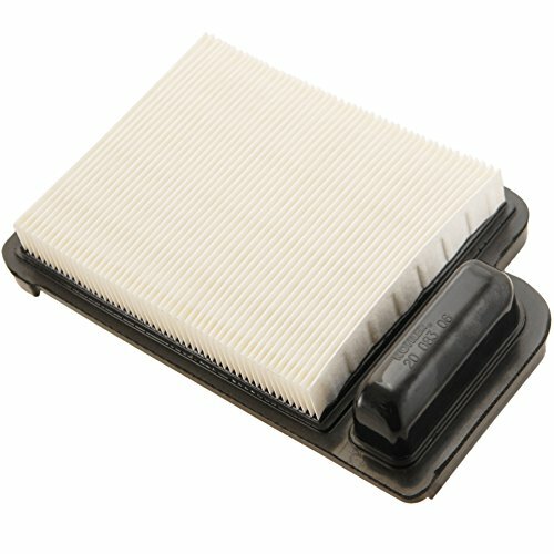 Elemento purificatore aria