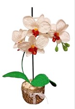 Orchidea bianca uncinetto con - orchidea,