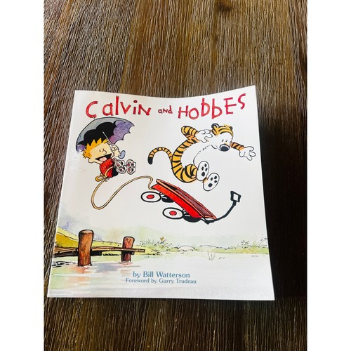 Calvin and hobbes - calvin,